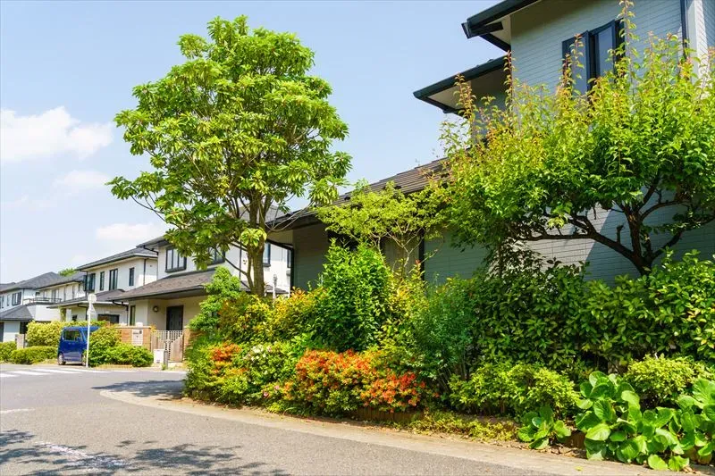 植栽のメリットについて