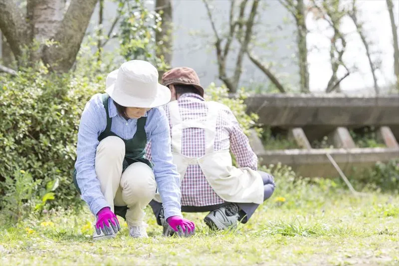 除草に適した季節とは？