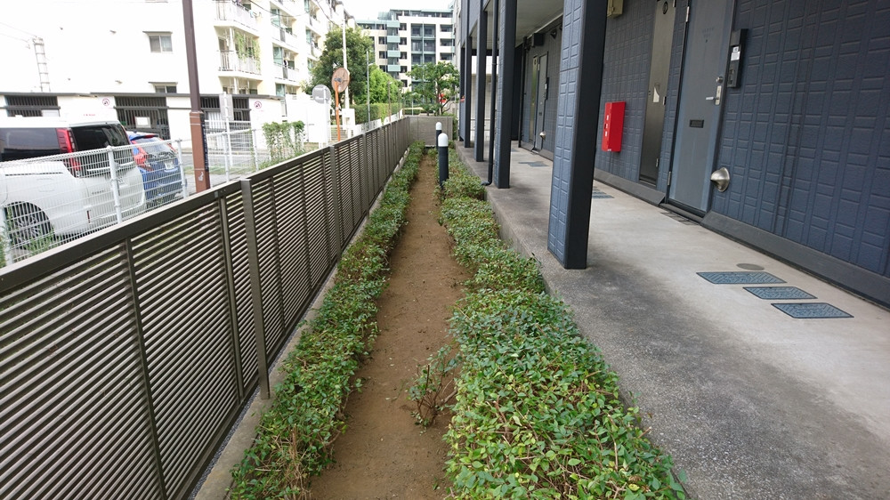 川崎市の造園のプロがオフィスの植栽管理をお手伝い