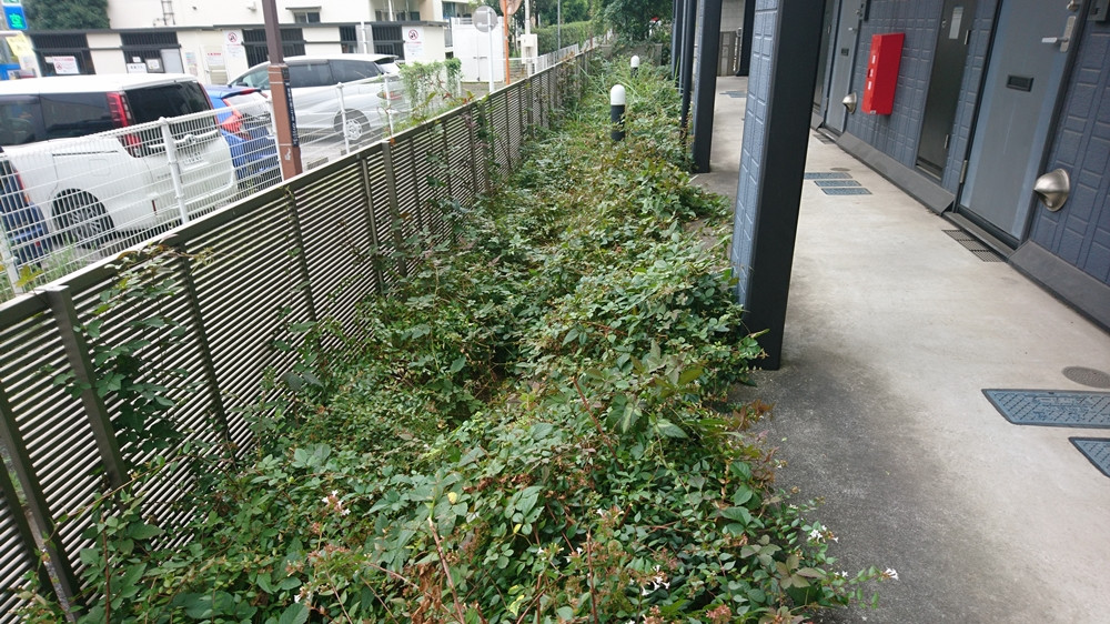 川崎市の造園業を行う有限会社恵樹園の施工事例を紹介します