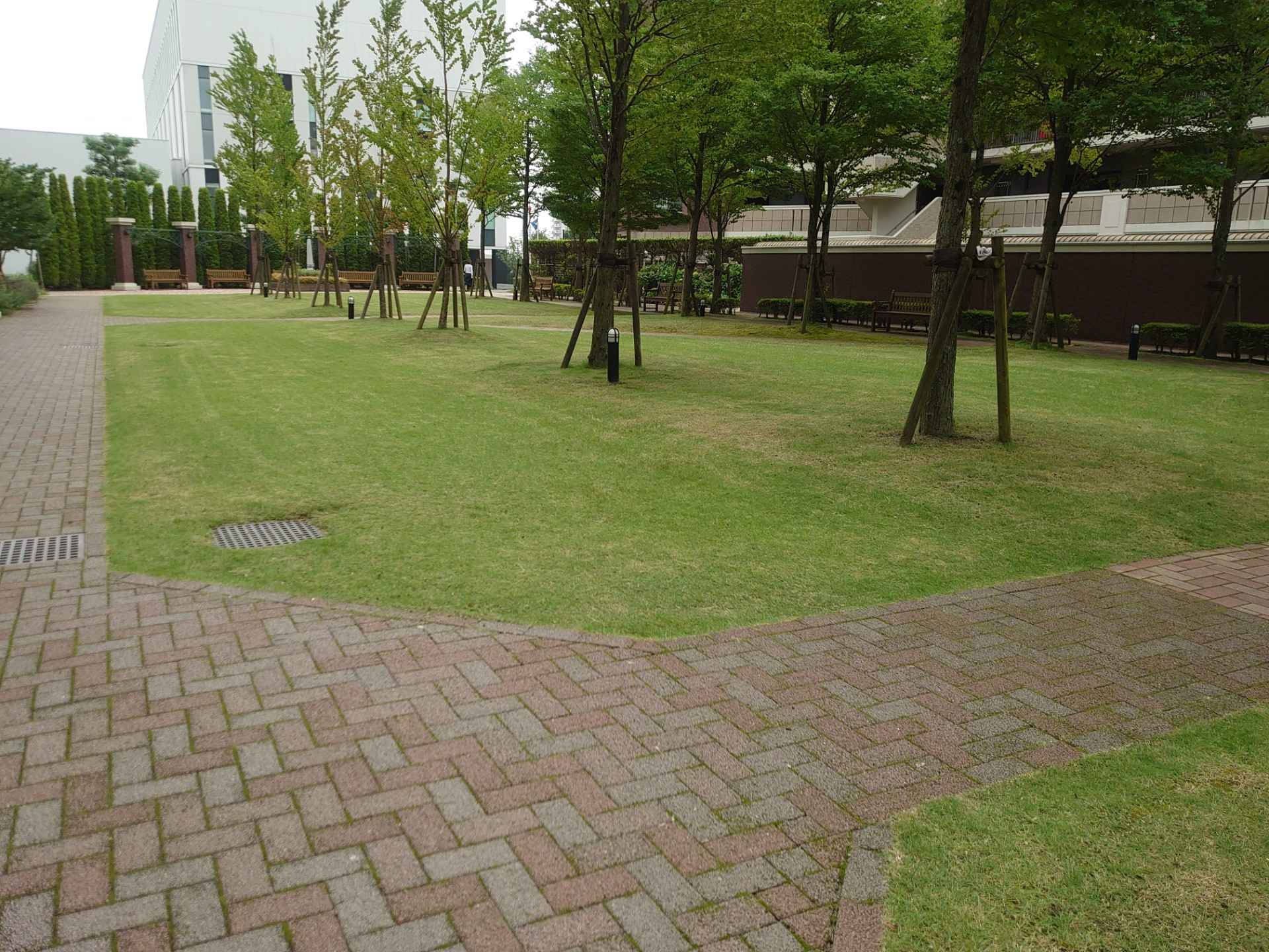 庭のことなら川崎市の造園業者恵樹園へ！