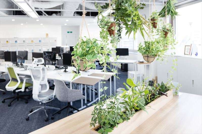 オフィスに観葉植物を置くことで得られる効果